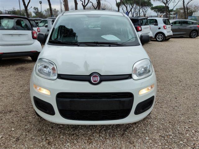 FIAT Panda 1.2 69cv GPL CLIMATIZZATORE OK NEOPATENTATI