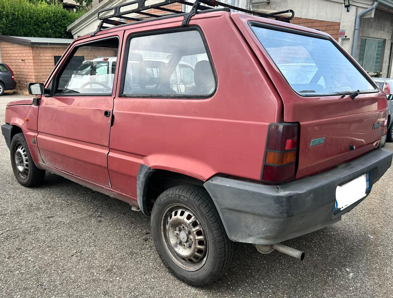 Fiat Panda 1100 per operatori del settore