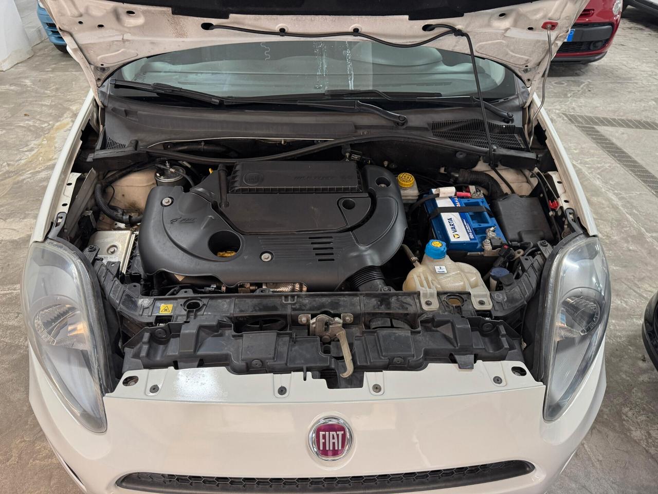 Fiat Punto 1.3 MJT II S&S 85 CV 5 porte ECO Young
