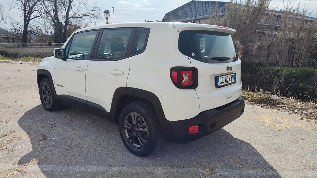 Jeep Renegade 1.6 Mjt 120 CV Perfetta