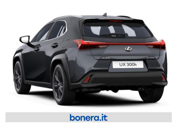 Lexus UX 300 2.0 Premium Hybrid Urban 2WD Power Split Device