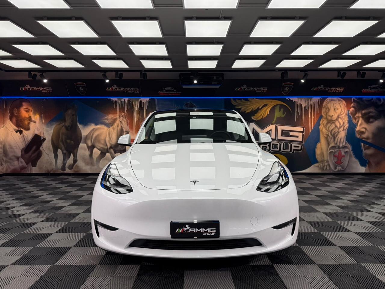 Tesla Model Y Long Range AWD (892)