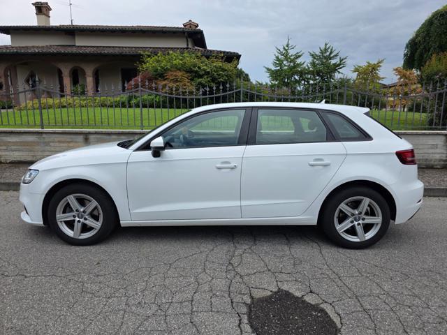 AUDI A3 SPB 1.6 TDI 116 CV Business