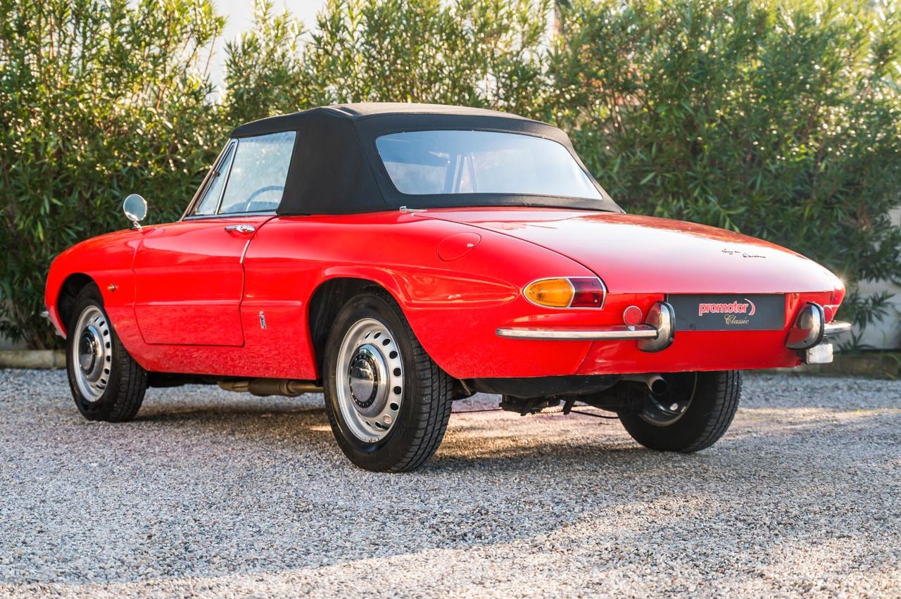 Alfa Romeo Spider 1600 Duetto ”Osso di Seppia”