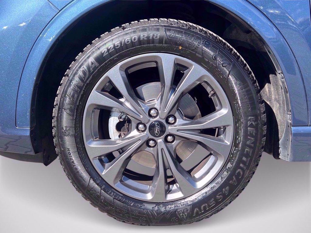 FORD Kuga 1.5 ecoblue ST-Line X 2wd 120cv auto del 2022