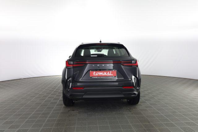 LEXUS Other NX NX Hybrid 4WD Business