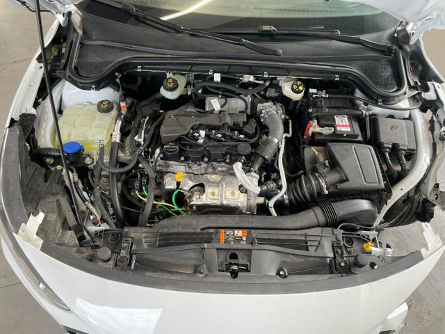 FORD Focus 1.5 ECOBLUE 115CV SW ST-LINE