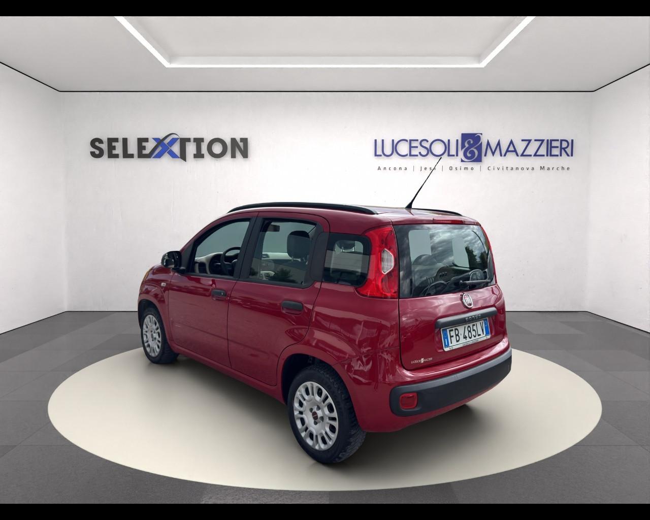 FIAT Panda 3ª serie - Panda 1.2 Easy