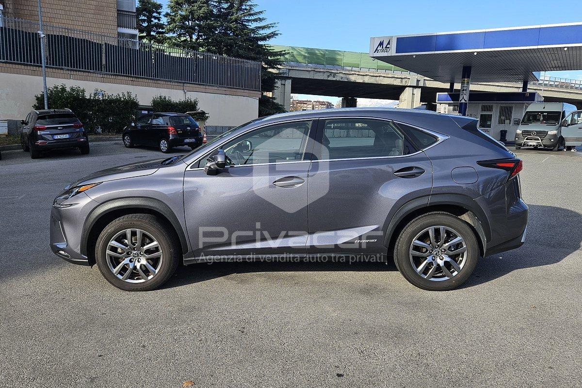LEXUS NX Hybrid 4WD Business