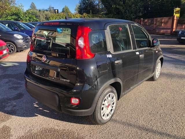 Fiat Panda panda serie 6