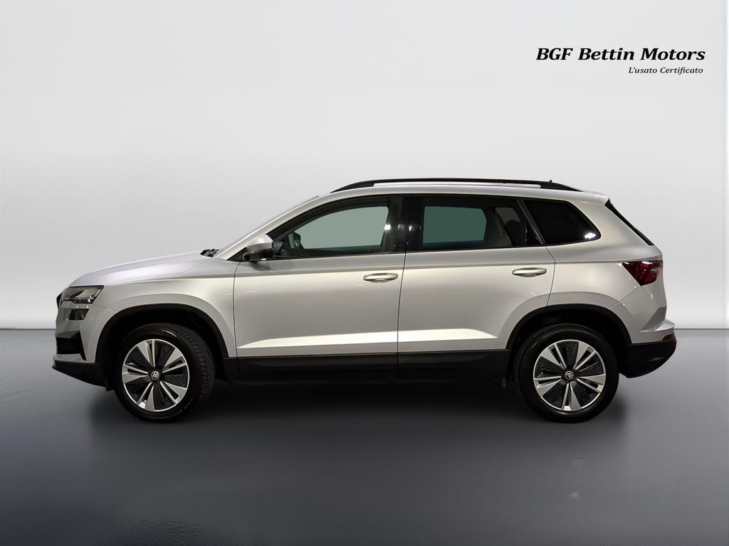 Skoda Karoq 2.0 tdi evo Executive 115cv dsg