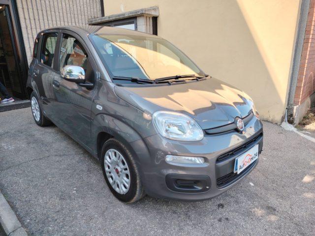 FIAT Panda 1.0 FireFly S&S Hybrid NEOPATENTATI - PREZZO REALE