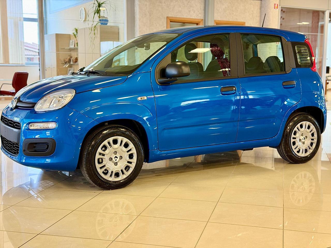 FIAT Panda Pandina Icon 5p - Hybrid 70cv S&S