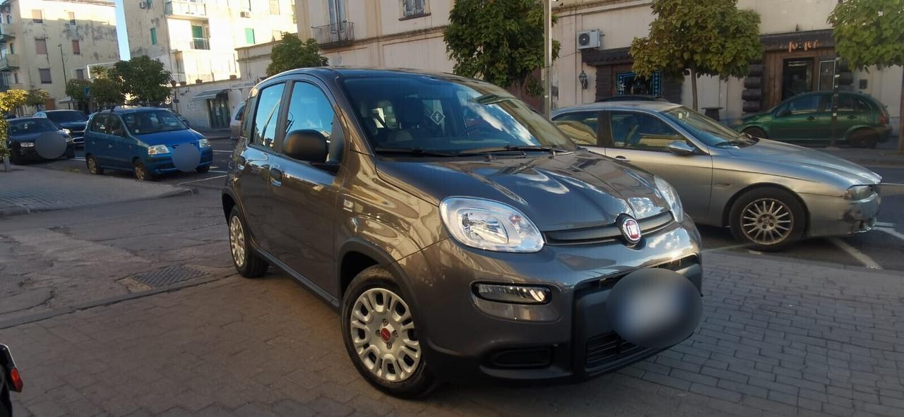 Fiat Panda 1.0 FireFly Hybrid City Life 2022 USATO