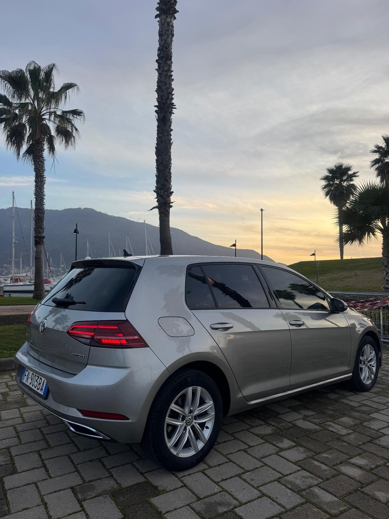 Volkswagen Golf 1.4 TGI 5p. Highline BlueMotion