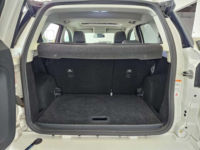 Ford EcoSport 2018 1.5 tdci ST-Line s / tetto apribile