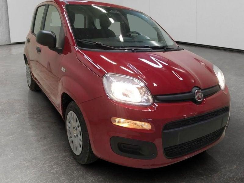 FIAT Pandina 1.0 firefly hybrid Icon s&s 70cv