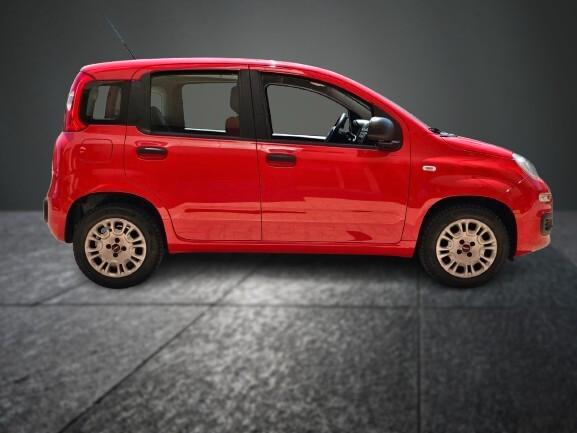 FIAT PANDA 1.2 69cv S&S EASY