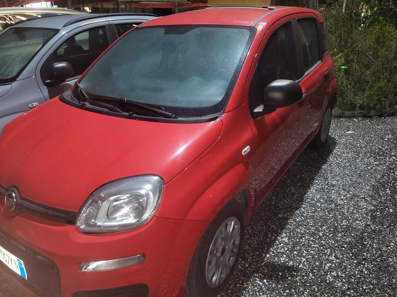 Fiat Panda 1.0 FireFly S&S Hybrid
