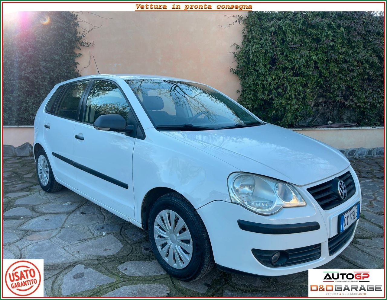 Volkswagen Polo 1.2 GPL PER COMMERCIANTI