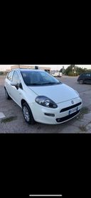 Fiat Punto 1.4 8V 5 porte Natural Power Street