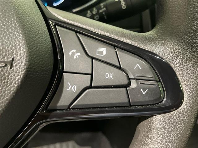 RENAULT ZOE Life R110 e-shifter Omolg N1 Autocarro!
