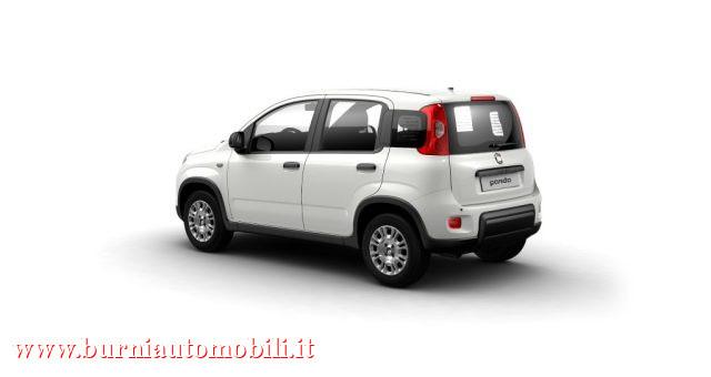 FIAT Panda 1.0 FireFly S&S Hybrid PREZZO VERO