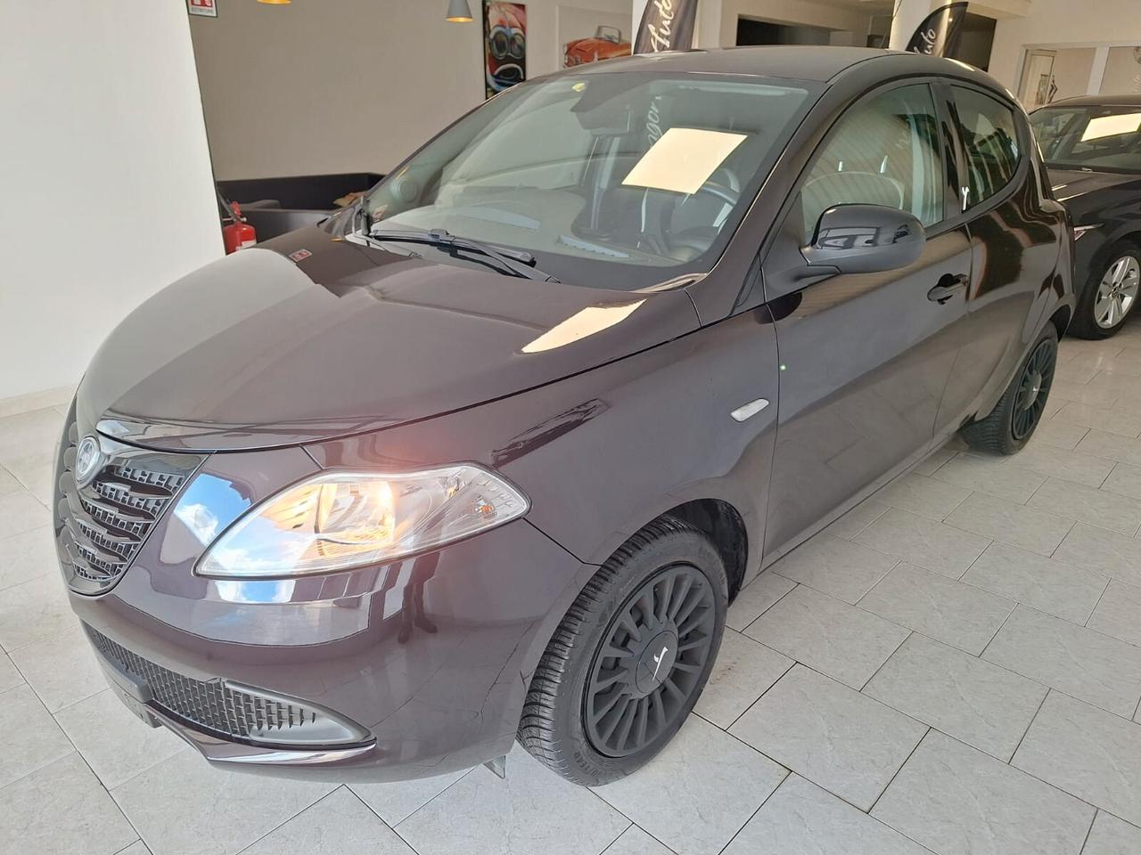 Lancia Ypsilon 1.2 69 CV 5 porte Elefantino