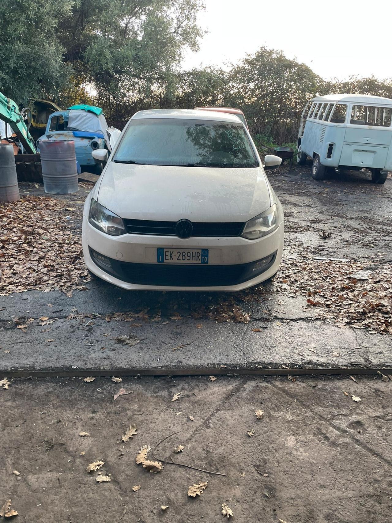 Volkswagen Polo 1.2 TDI DPF 5 p. Comfortline