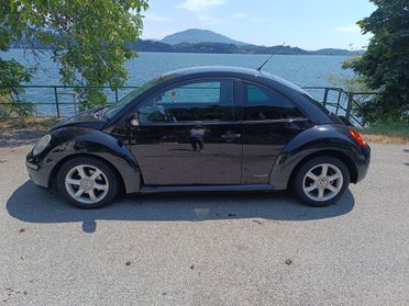 Volkswagen New Beetle 1.9 TDI 105CV