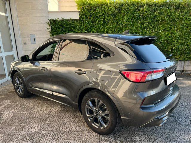 FORD Kuga 1.5 EcoBlue 120 CV 2WD ST-Line