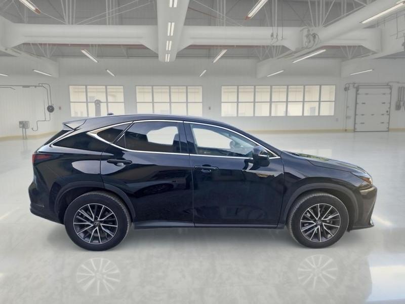 LEXUS NX 350h 2.5 Premium 4wd 190 CV e-cvt