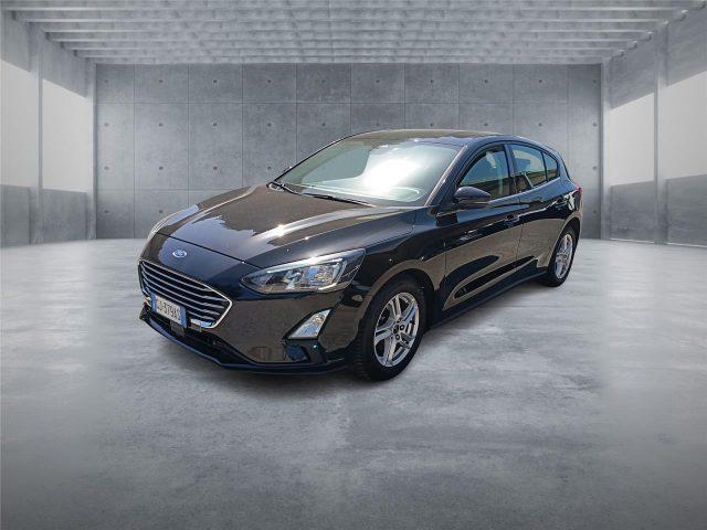 FORD Focus 4ª serie 1.5 EcoBlue 120 CV 5p. Business