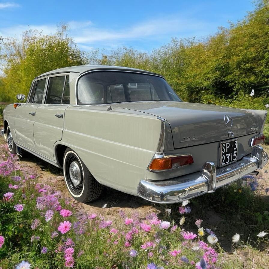 Mercedes-benz 190