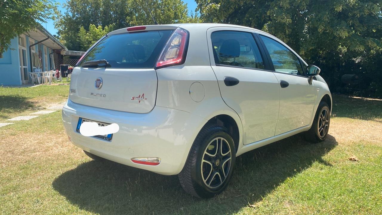 Fiat Punto 1.4 8V 5 porte Natural Power Street