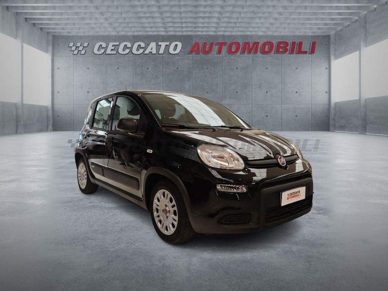 FIAT Panda Panda 1.0 firefly hybrid s&s 70cv
