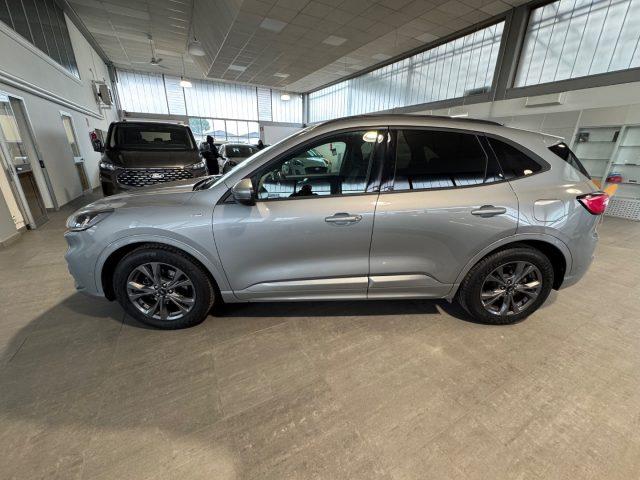 FORD Kuga 1.5 EcoBlue 120 CV 2WD ST-Line