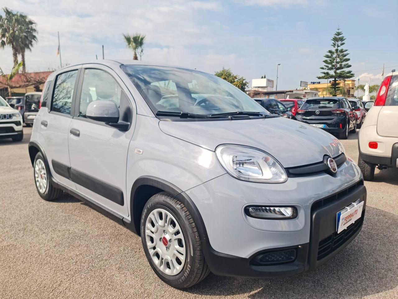 FIAT PANDA HYBRID MY23 NUOVAKMO SPORT