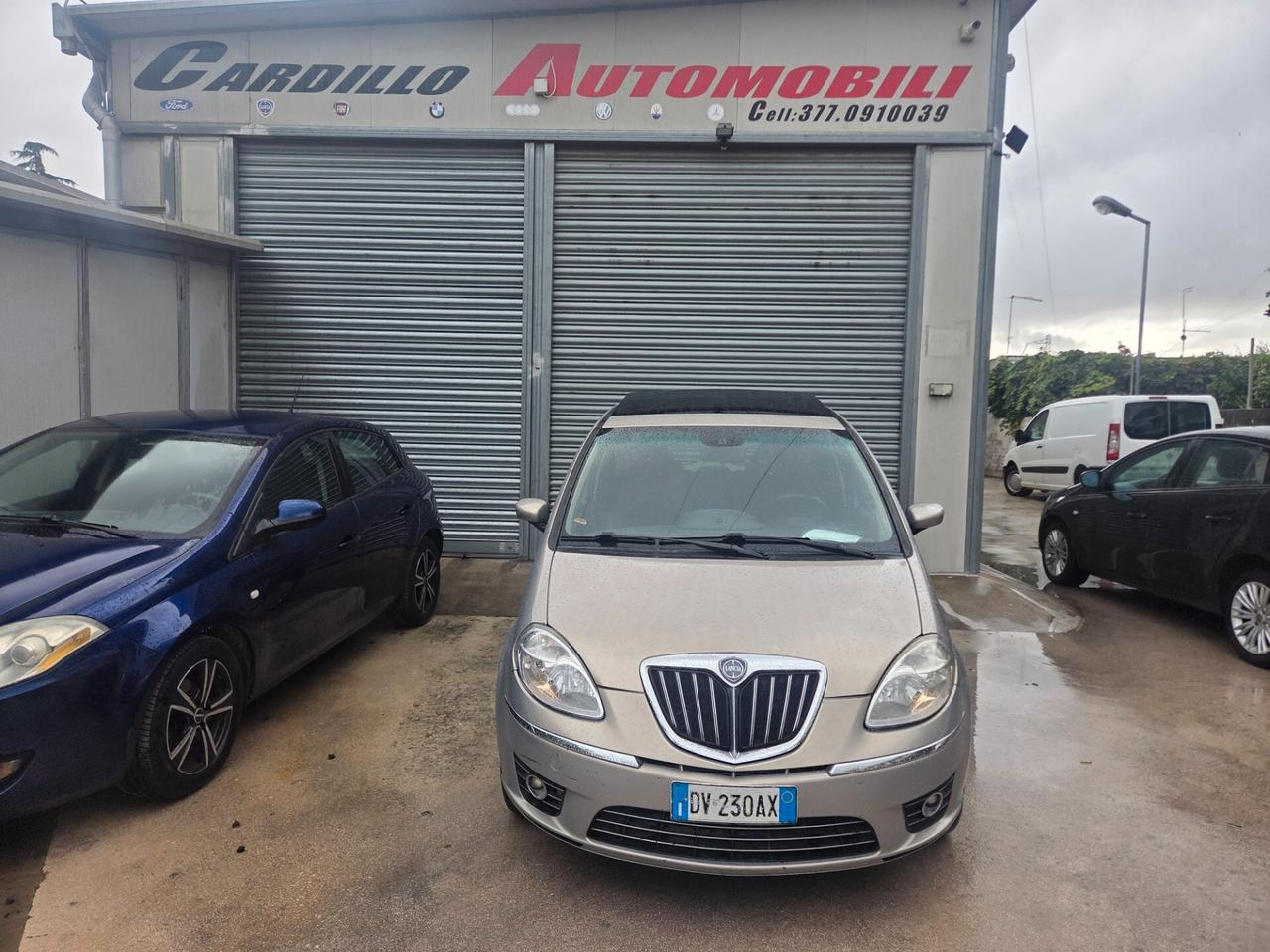 Lancia MUSA 1.3 Multijet 16V 90 CV Platino