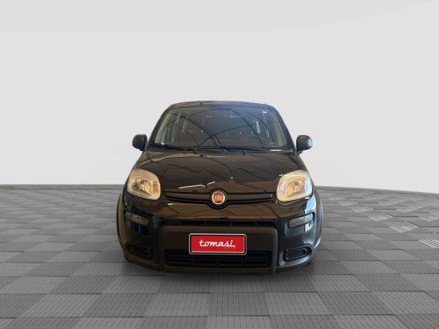 FIAT Panda Panda 1.0 FireFly S&S Hybrid