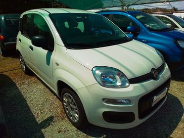 Fiat Panda Easy 1.2 Benz 69cv