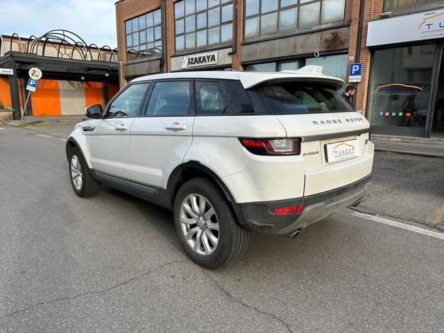 LAND ROVER Range Rover Evoque Pure Business Edition TD4