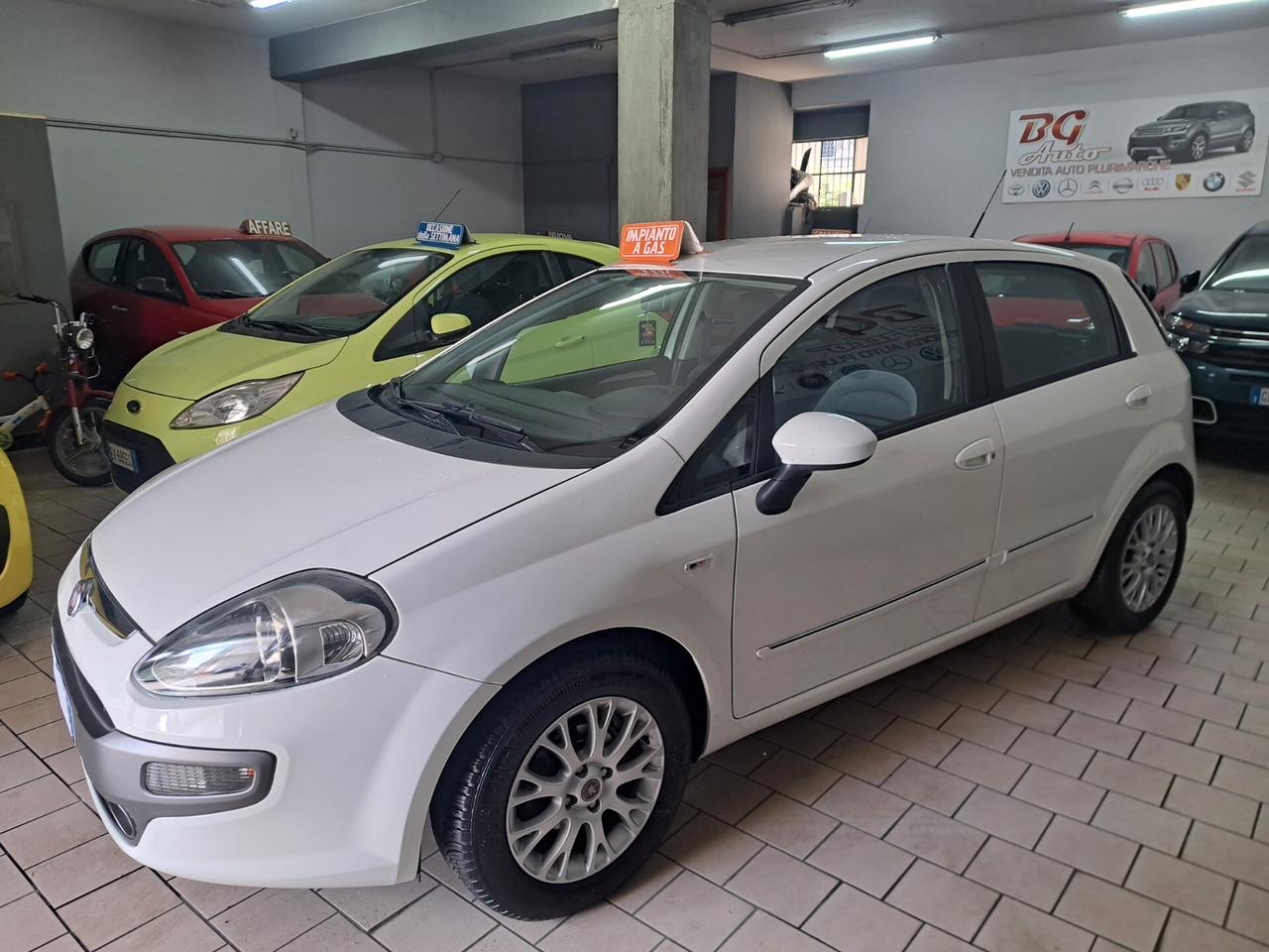 Fiat Punto Evo 1.4 5 porte Dynamic GPL unico prop