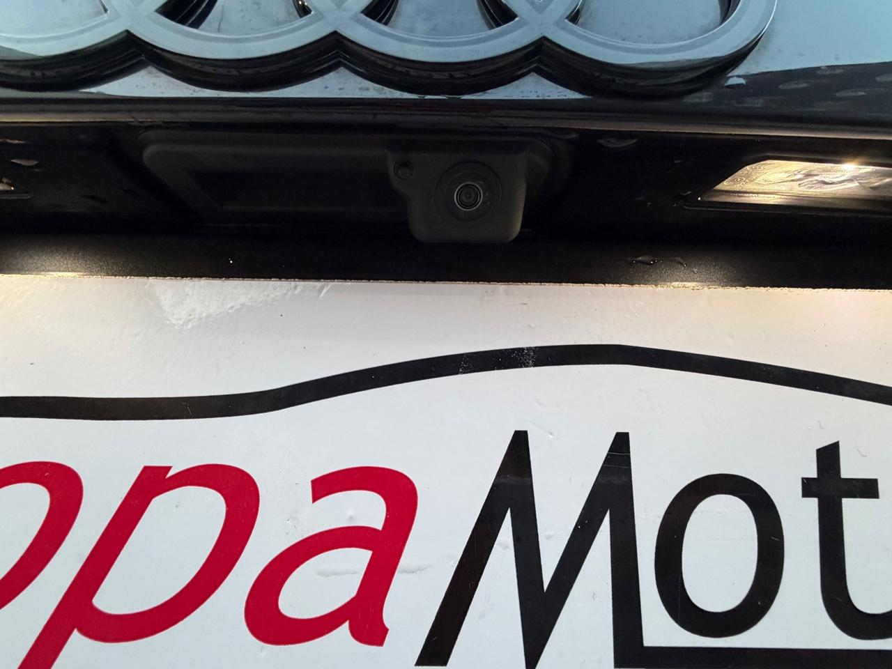 Audi Q8 SUV TDI quattro 210 kW tiptronic S line edition TETTO