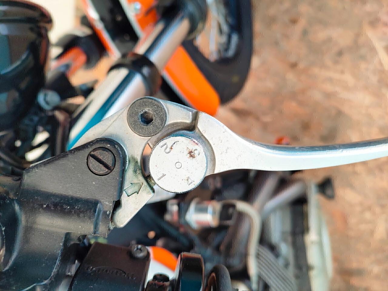 Triumph Thruxton CUP - Regina delle Cafe Racer