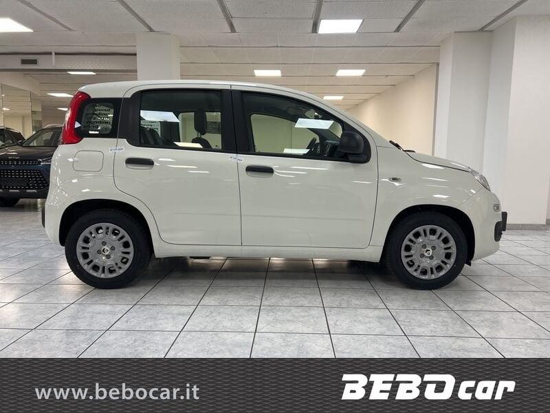 FIAT Pandina 1.0 FireFly 65cv S&S 6m Hybrid Icon