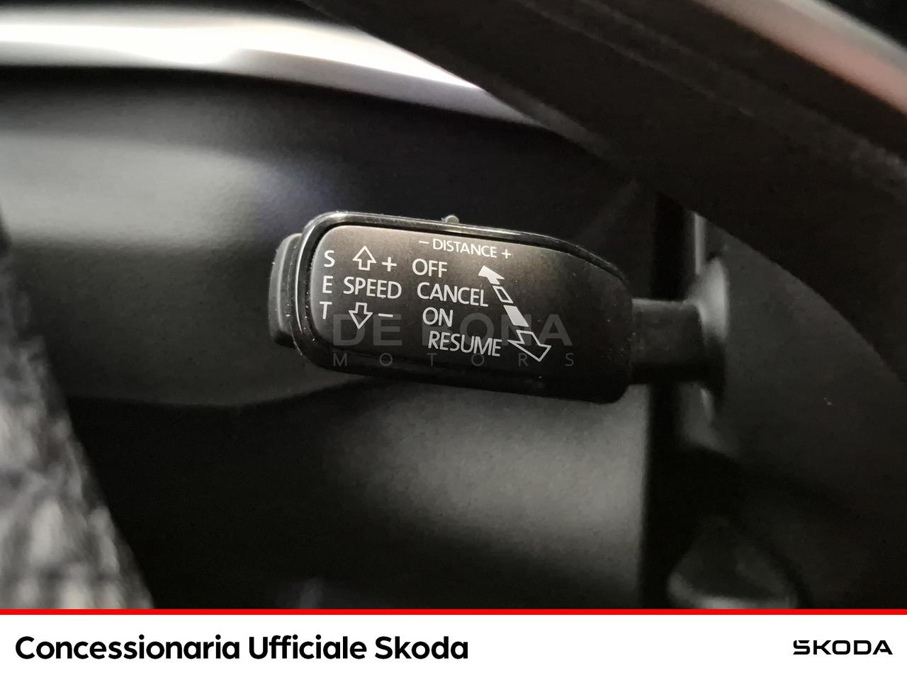 Skoda Karoq 2.0 tdi executive 4x4 150cv dsg