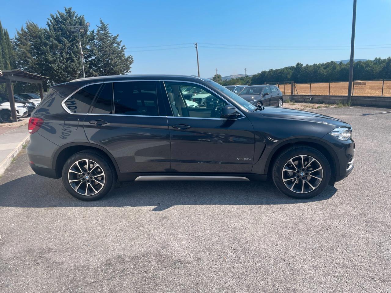 Bmw X5 xDrive25d Luxury