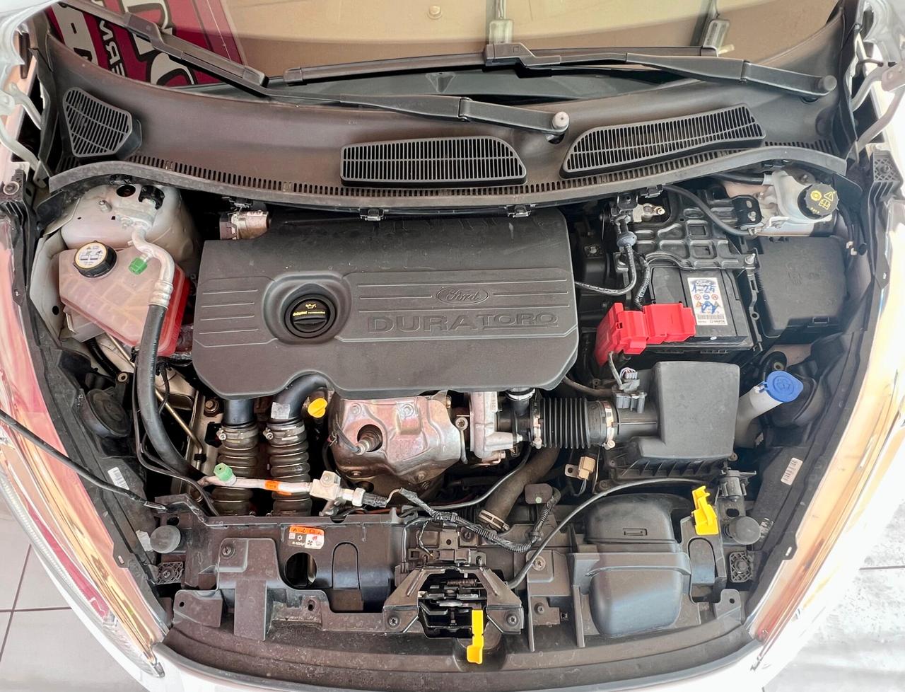 FORD Fiesta 6ª serie Fiesta 1.5 TDCi 75CV 5 po...
