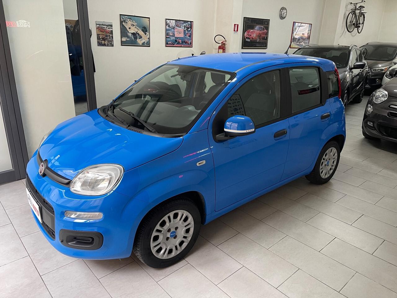 Fiat Panda 1.2 Benzina 69 CV Pandazzurri